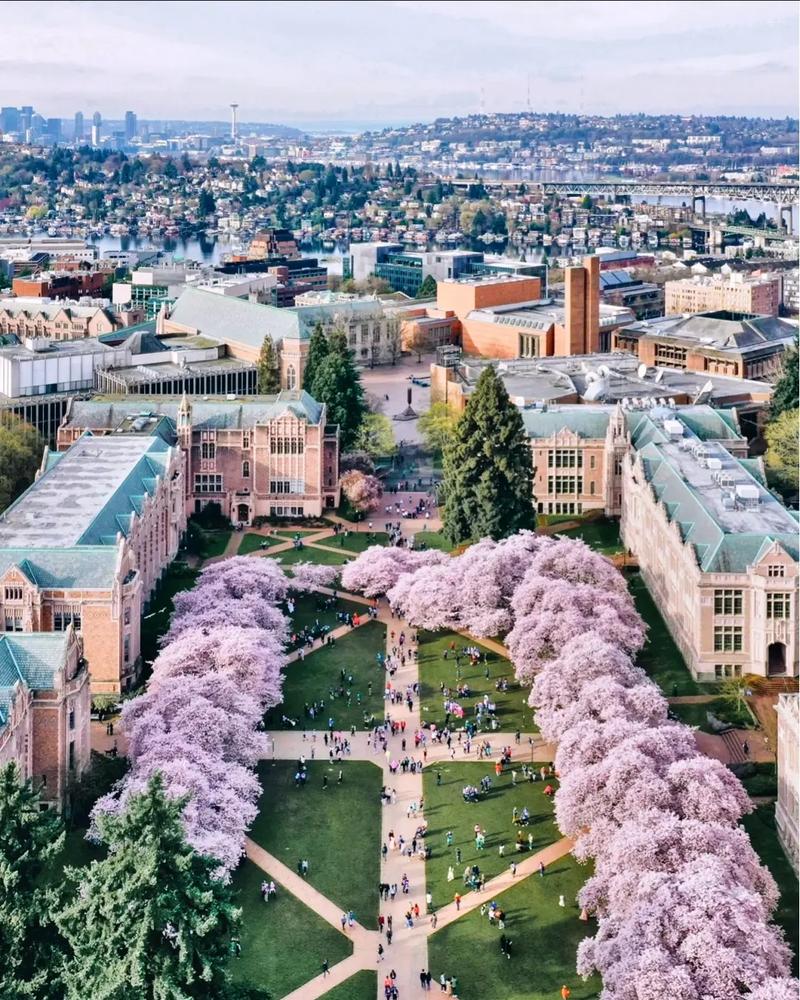 马里兰大学帕克分校